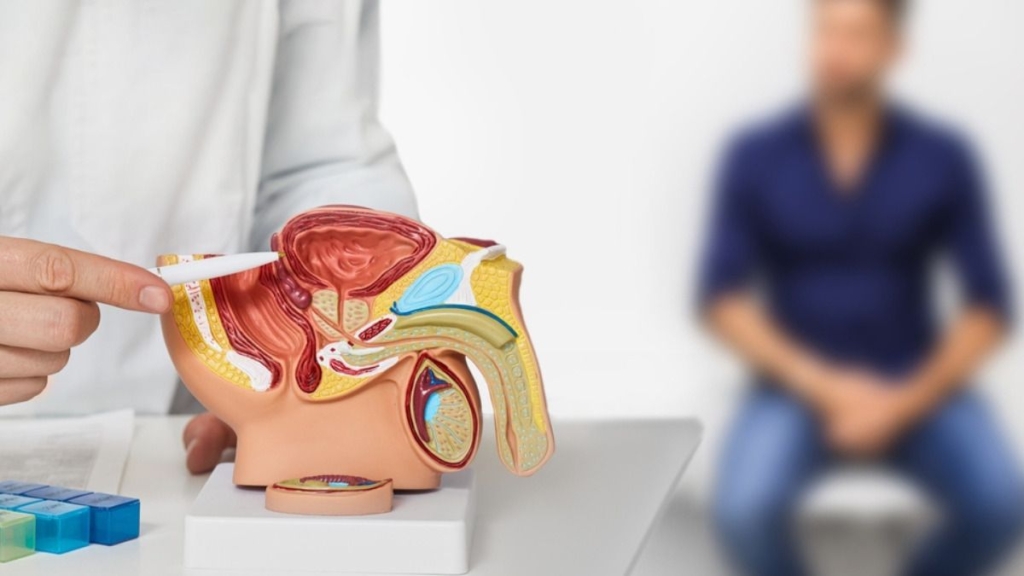 Sinais de alerta para saúde urológica 1 sinais de alerta para saude urologica 2